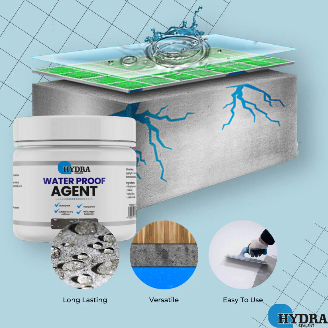 Hydra Waterproof Agent Anti Leakage Sealant (300gm with brush) Made in Pakistan