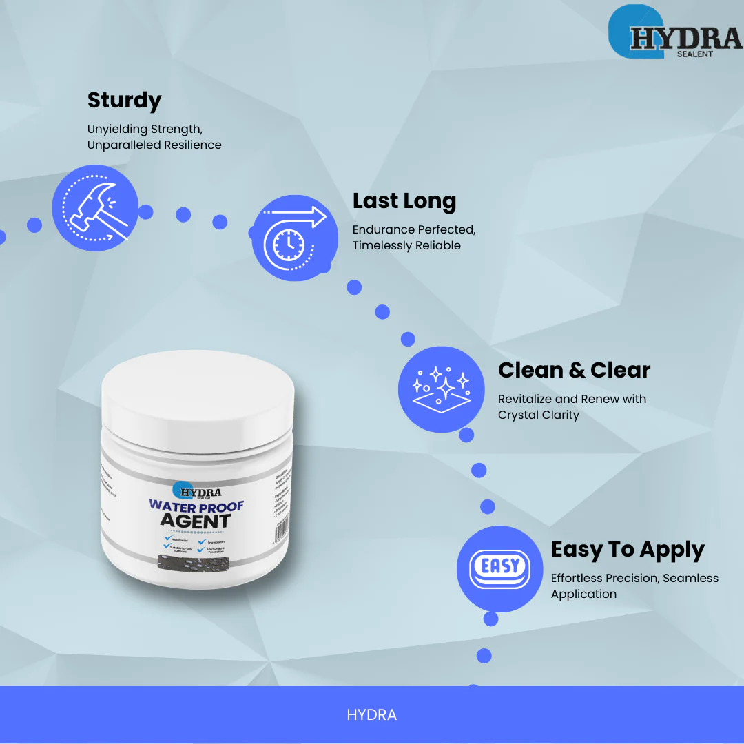 Hydra Waterproof Agent Anti Leakage Sealant (300gm with brush) Made in Pakistan